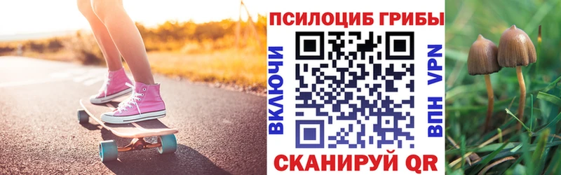 KRAKEN как войти  Киселёвск  Псилоцибиновые грибы Psilocybine cubensis  дарнет шоп 