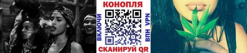 Шишки марихуана план где продают наркотики Киселёвск